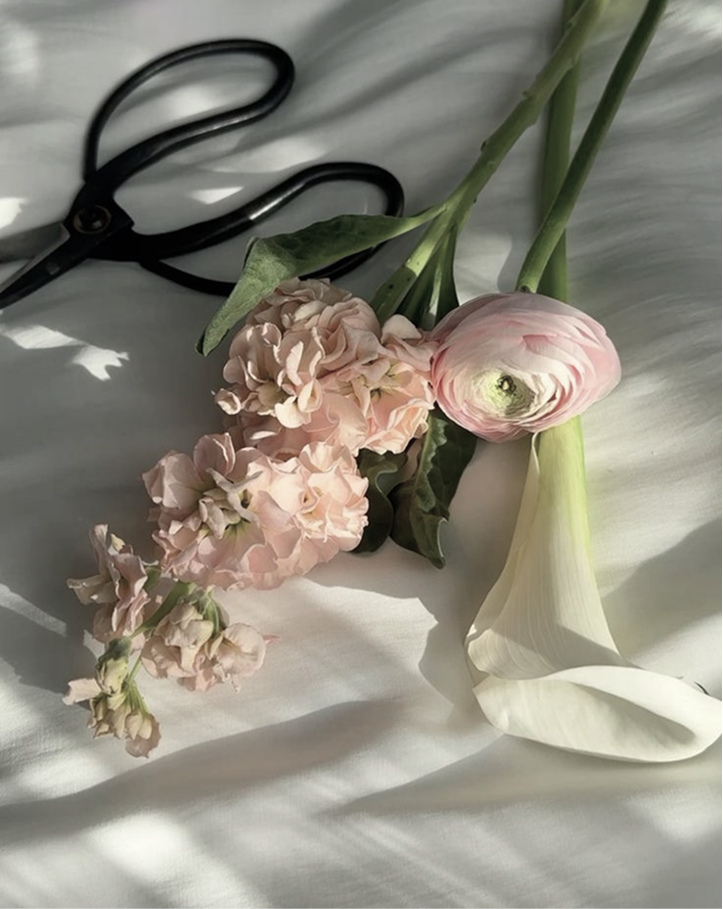 Fresh flowers and florist scissors