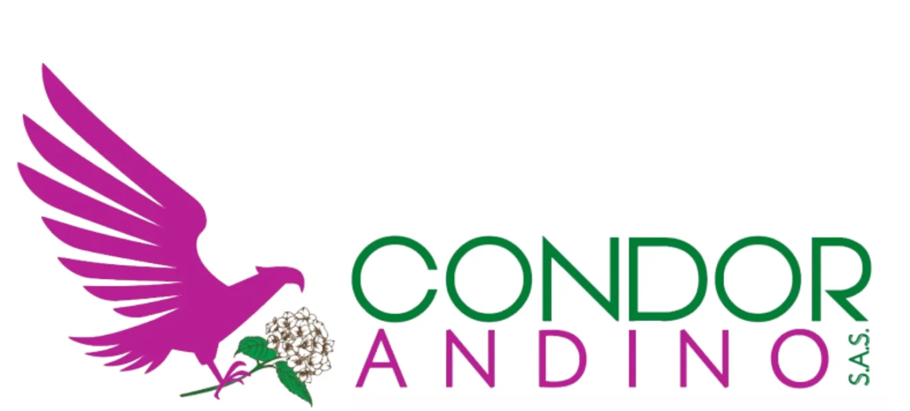 Condor Andino