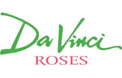 Da Vinci