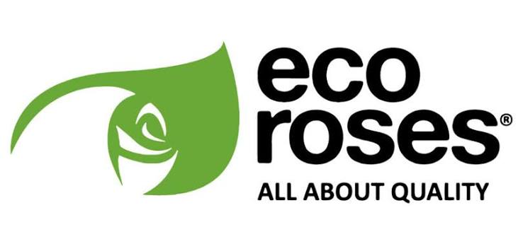 Eco Roses