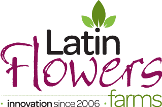 Latin Flowers